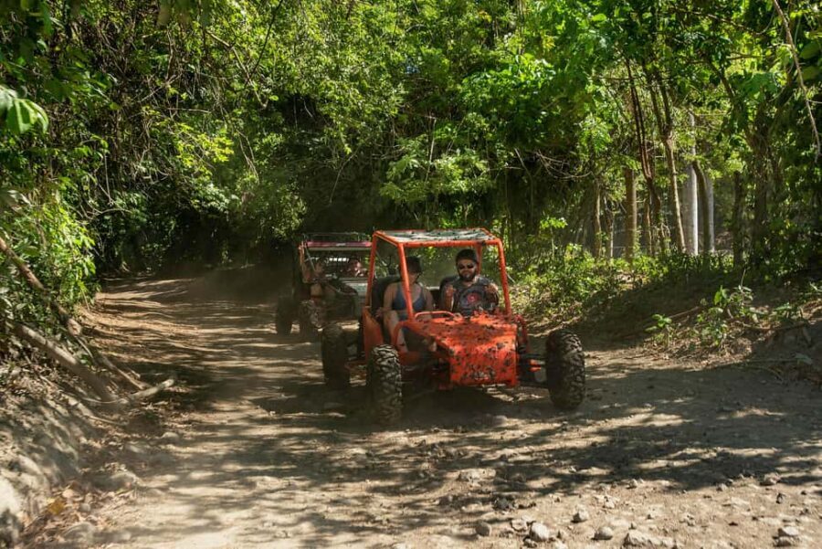 Private: Jungle Buggy Zipline Combo Adventure at La Hacienda - What We Think About the Value