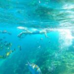 Private Junior Catamaran Tour in Punta Cana with Transportation Included - Detailed Itinerary and Experiences