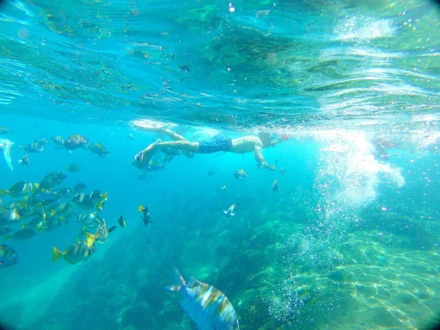 Private Junior Catamaran Tour in Punta Cana with Transportation Included - Detailed Itinerary and Experiences