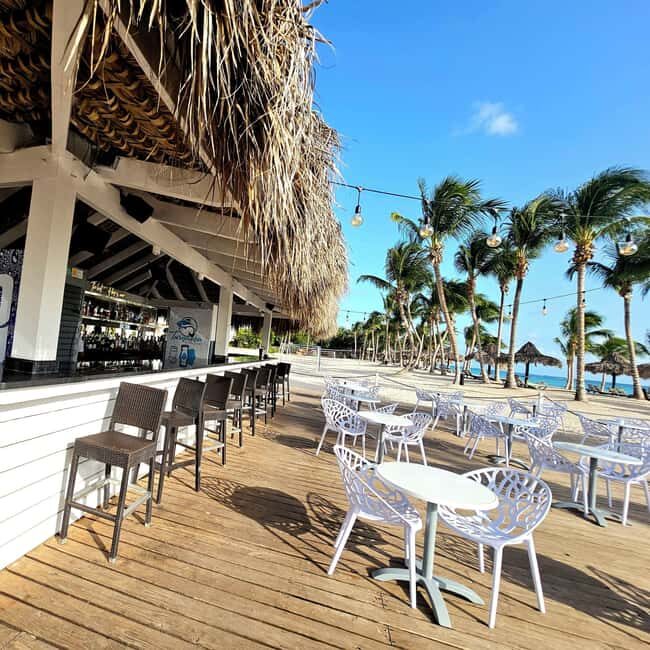 Private: La Romana, Catalina Island Snorkeling & Beach Trip - Why This Tour Works Well