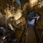 Private: Los Haitises & Redonda Mountain Day Tour - The Real Value: What Makes This Tour Worth It?