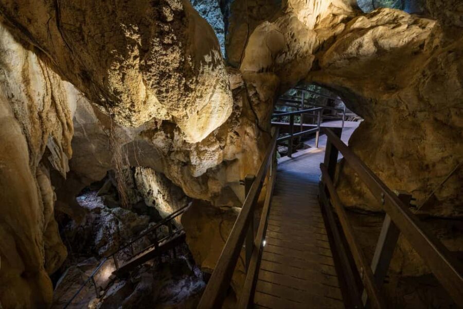 Private: Los Haitises & Redonda Mountain Day Tour - The Real Value: What Makes This Tour Worth It?