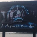 Private Luminous Lagoon Tour from Montego bay - Breaking Down the Itinerary