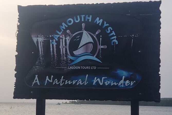 Private Luminous Lagoon Tour from Montego bay - Breaking Down the Itinerary