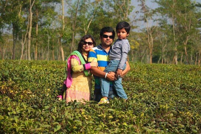 Private Luxury Escape: 2 Day Tea Gardens & Scenic Landscapes - A Deep Dive into the Itinerary