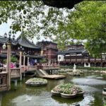 Private Lyaover: Cruising Shanghai in A Tesla - What to Expect: An Authentic and Flexible Shanghai Experience