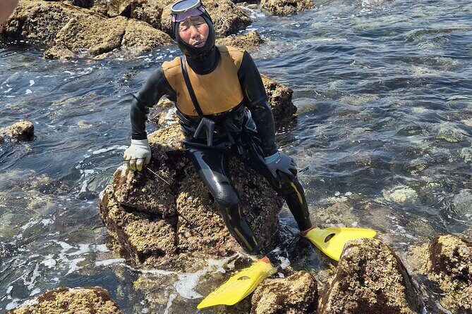 Private Meeting with a Haenyeo: Jeju Shore Excursion - A Deep Dive into the Jeju Shore Excursion Experience