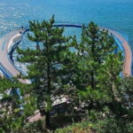 Private Minibus Tour in Busan for Cruise Guests 8-17 People - Why This Tour Works for Cruise Travelers