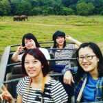 Private Minneriya National Park Safari and Fireflies Lighting Tour - Practical Tips for a Smooth Experience