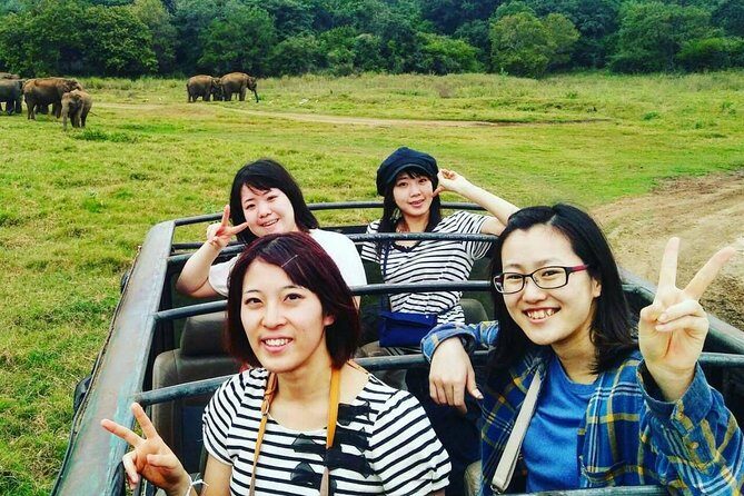 Private Minneriya National Park Safari and Fireflies Lighting Tour - Practical Tips for a Smooth Experience