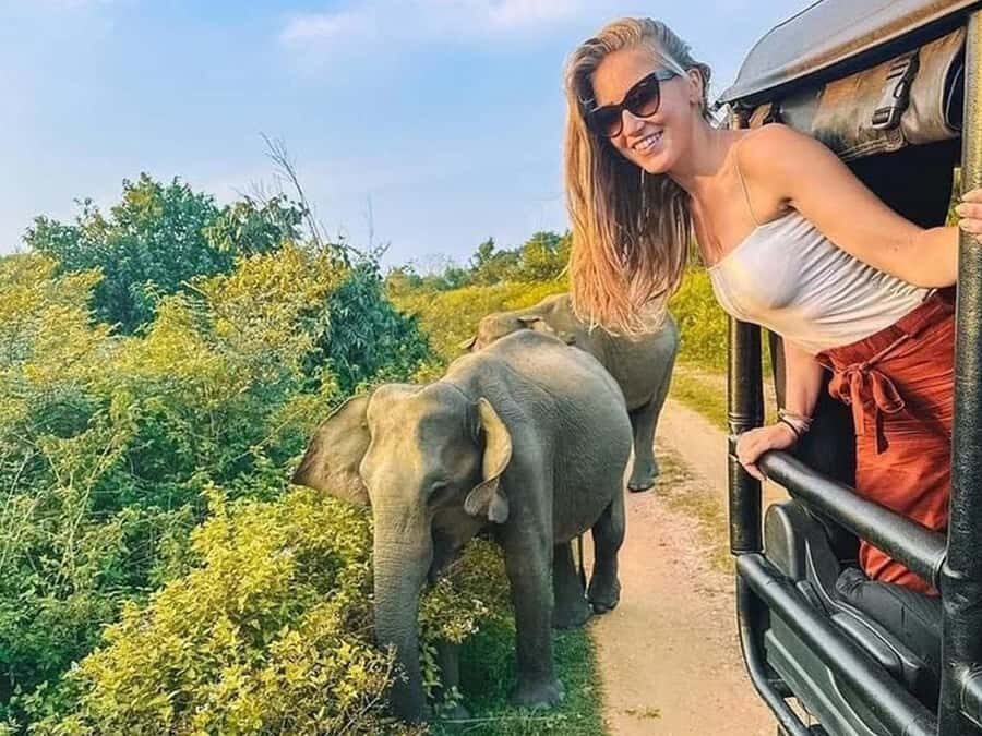 Private Minneriya Safari & Nature Experience from Sigiriya - Final Thoughts: Is It Worth It?