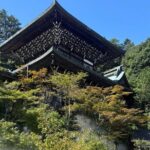 Private Miyajima Island Tour with Local Guide - Authentic Insights from Reviews