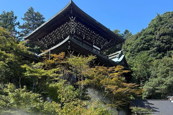 Private Miyajima Island Tour with Local Guide - Authentic Insights from Reviews