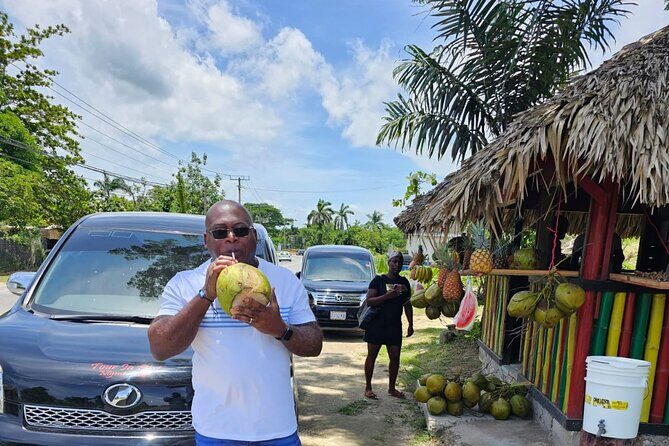 Private Montego Bay Airport Transfer to Negril/Westmoreland Hotel - Detailed Breakdown of the Experience