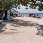 Private Montego Bay Beach Day Tour from Falmouth - What’s Included and What’s Not?