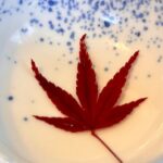 Private Morning Meditation at Kyoto - What Reviewers Say: Real Insights