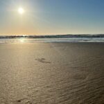 Private Morning Transfer From Noosa to Rainbow Beach - What’s Included and What to Expect