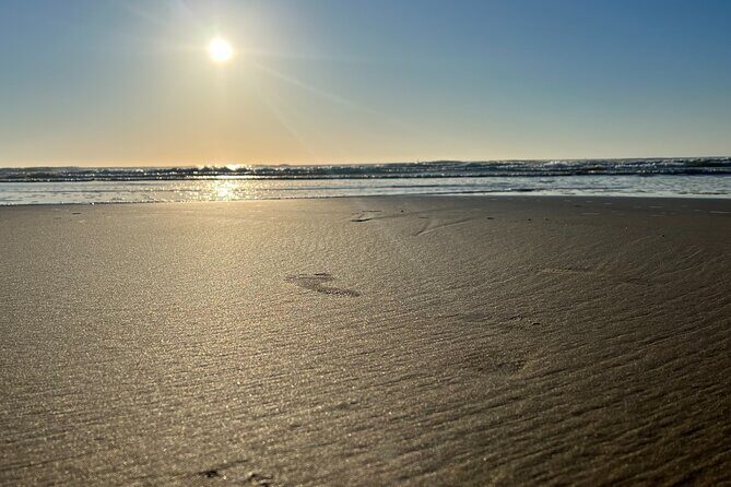 Private Morning Transfer From Noosa to Rainbow Beach - What’s Included and What to Expect