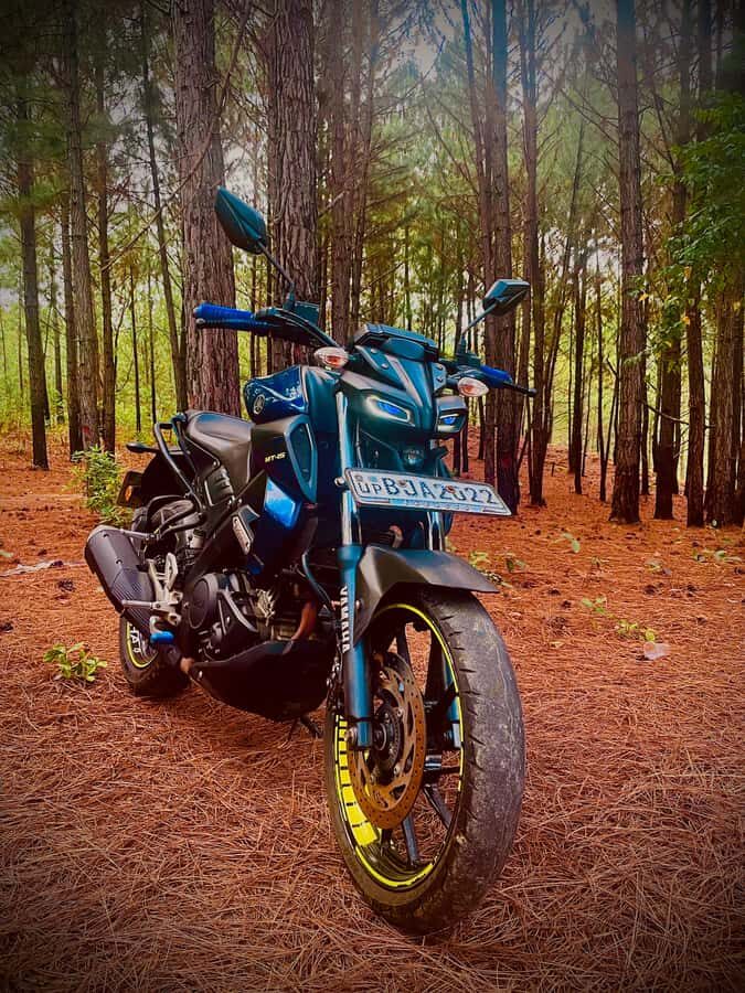 Private Motorbike Passenger Ride to World's End |From Ella - In-Depth Look at the Itinerary