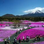 Private Mount Fuji Tour in Luxury Vehicle with English Guide - Who Is This Tour Best For?