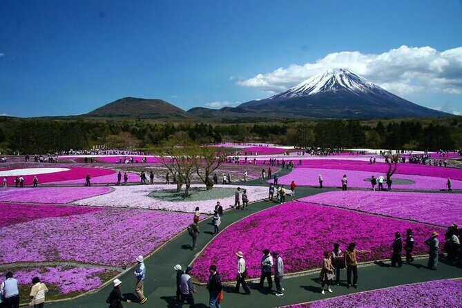 Private Mount Fuji Tour in Luxury Vehicle with English Guide - Who Is This Tour Best For?