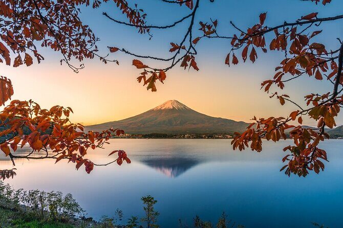 Private Mount Fuji Tour with English Driver from Tokyo - Who Should Consider This Tour?