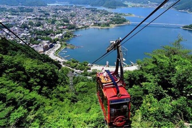 Private Mt Fuji Tour with English Speaking Driver - Transport & Comfort: What You Need to Know