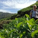 Private Munnar Tea Trek - What the Reviews Say: Authentic Experiences Backed by Real Travelers