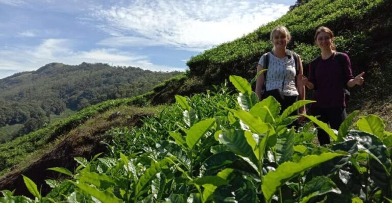 Private Munnar Tea Trek - What the Reviews Say: Authentic Experiences Backed by Real Travelers