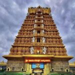 Private Mysore Guided Full Day City Tour - What This Tour Means for You