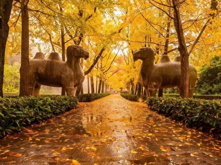 Private Nanjing Day Tour from Shanghai by Bullet Train - Walking the Ming City Wall and Zhonghua Gate