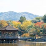Private Nara Tour: Temples, Deer, and Photo Spots - The Iconic Todai-ji Temple and the Great Buddha