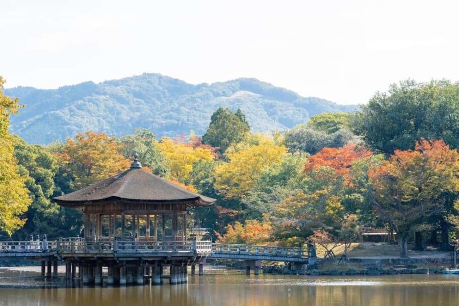 Private Nara Tour: Temples, Deer, and Photo Spots - The Iconic Todai-ji Temple and the Great Buddha