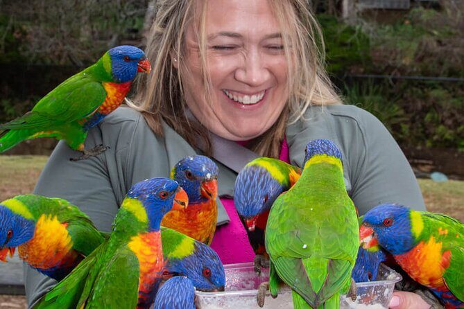 Private Nature Escape Tour 2 Days in Sydney - Who’s This Tour Perfect For?