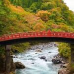 Private Nikko Day Trip from Tokyo  UNESCO Shrines & Nature - Exploring the Itinerary in Detail