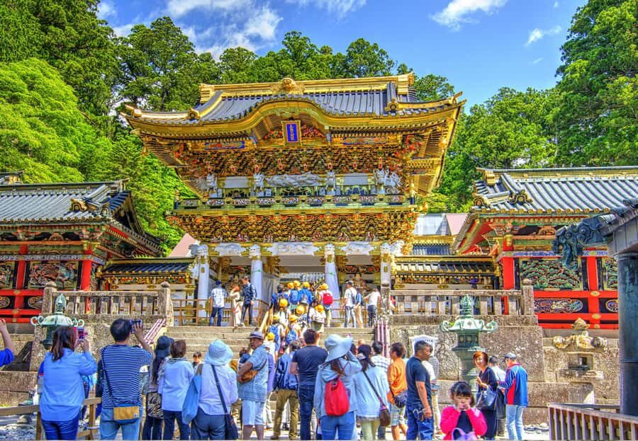 Private Nikko Day Trip from Tokyo  UNESCO Shrines & Nature - The Experience: Pros and Cons