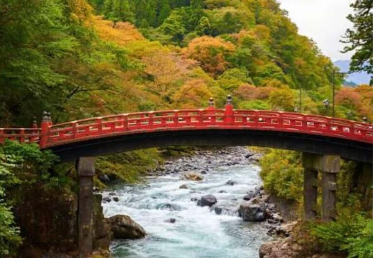 Private Nikko Day Trip from Tokyo  UNESCO Shrines & Nature - Exploring the Itinerary in Detail