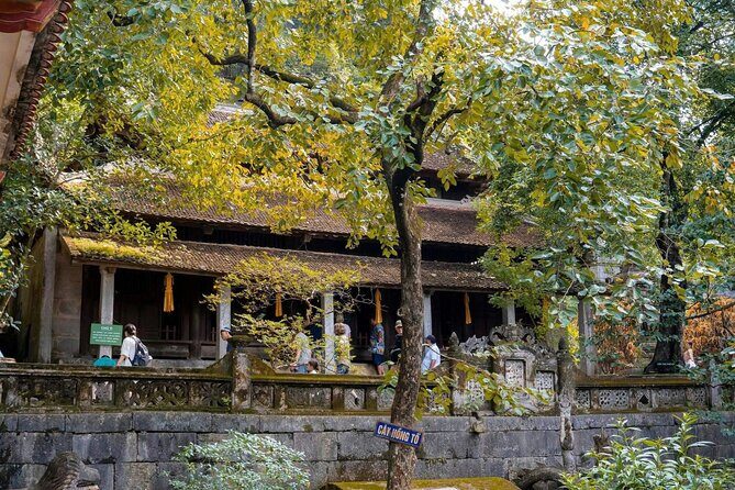 Private Ninh Binh Day Trip: Trang An & Bich Dong - Potential Drawbacks or Considerations