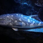 Private Numazu Tour with Lisenced Guide by Car - What Does the Tour Include?