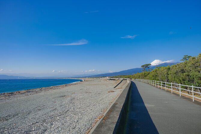 Private Numazu Tour with Lisenced Guide by Car - Final Thoughts: Who Will Love This Tour?