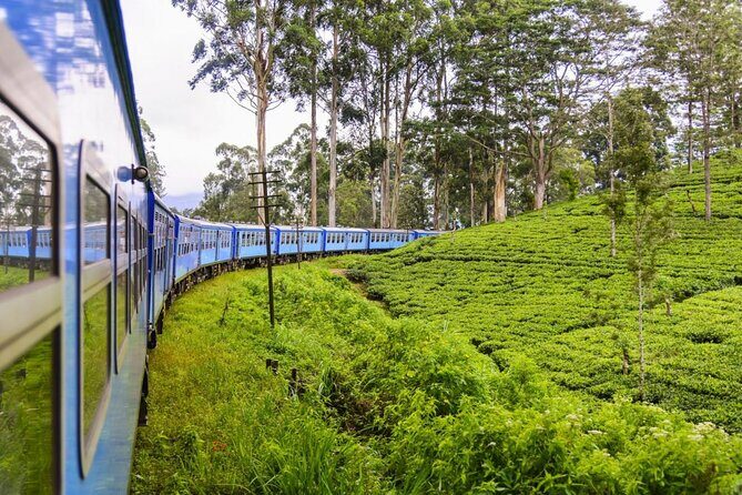 Private Nuwara Eliya Day Trip from Colombo All Inclusive - Overall Value and Experience