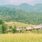 Private Off The Beaten Track Northeast Vietnam 7 Days Tour - FAQ