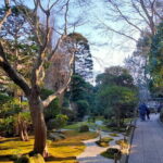 Private Old Temples Guided Tour in Kamakura - Practical Details and What’s Included
