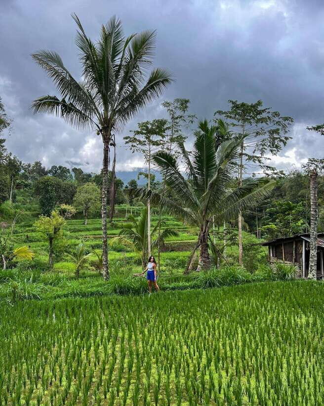 Private One-Day Tour: Authentic Tete Batu & Sukarara Village - Exploring Local Life and Culture