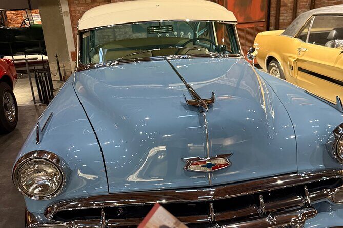 Private Osaka and Nara tour with English speaking guide - The Benefits of a Private Guided Tour