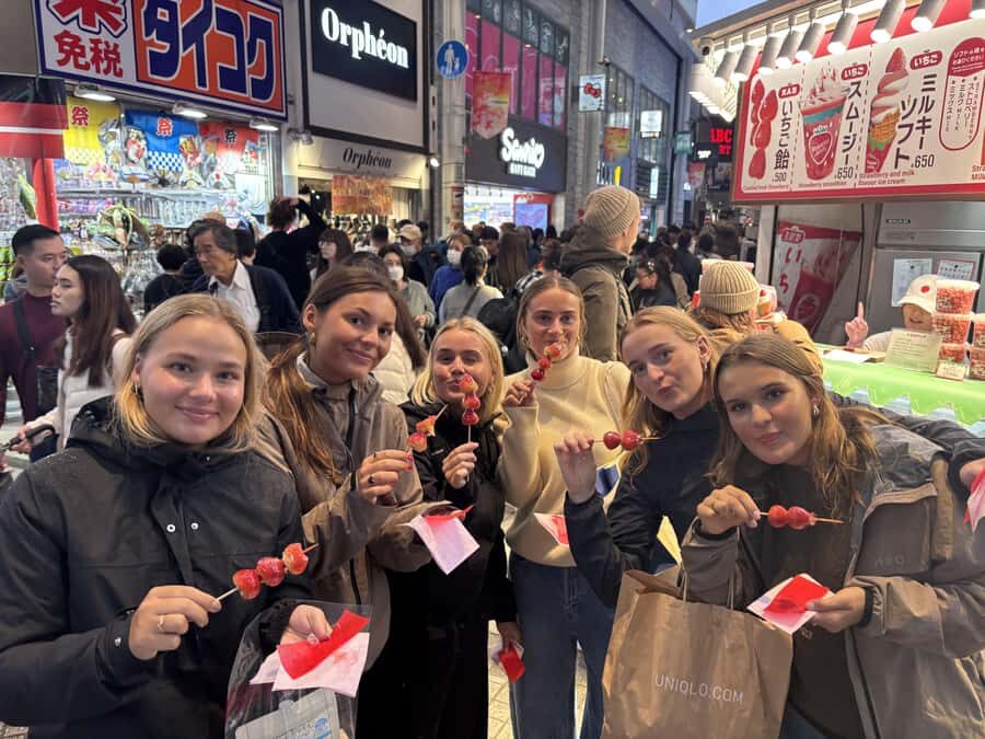 Private Osaka Food Tour: Authentic Izakayas & Local Gems - Who Will Love This Tour?  