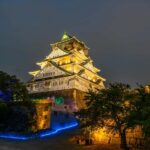 Private Osaka Night Tour: Local expert Guide & Hidden Gems - Detailed Breakdown of the Itinerary