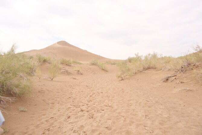 Private Outdoor Travel to Explore Kazakhstan - Transport, Group Size, and Practicalities