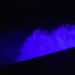 Private Phang Nga Bay Tour with Planktons Swim - Price Analysis: Is It Worth It?