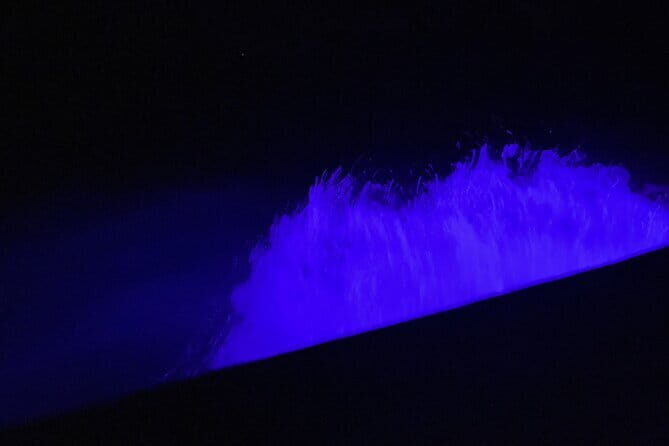 Private Phang Nga Bay Tour with Planktons Swim - Price Analysis: Is It Worth It?